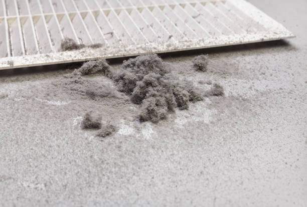 Best Emergency Air Duct Cleaning  in Appleton City, MO