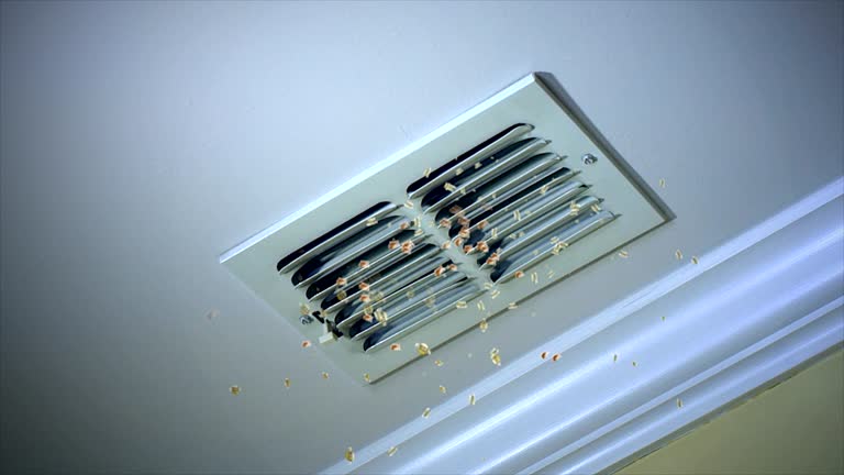 Best Affordable HVAC Duct Cleaning  in Appleton City, MO